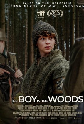 The Boy in the Woods